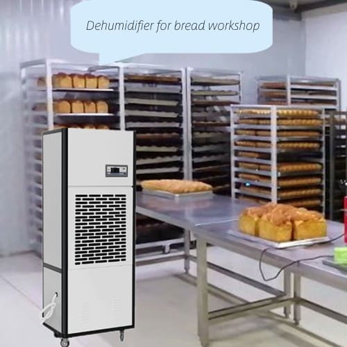 Bread Production Line 6