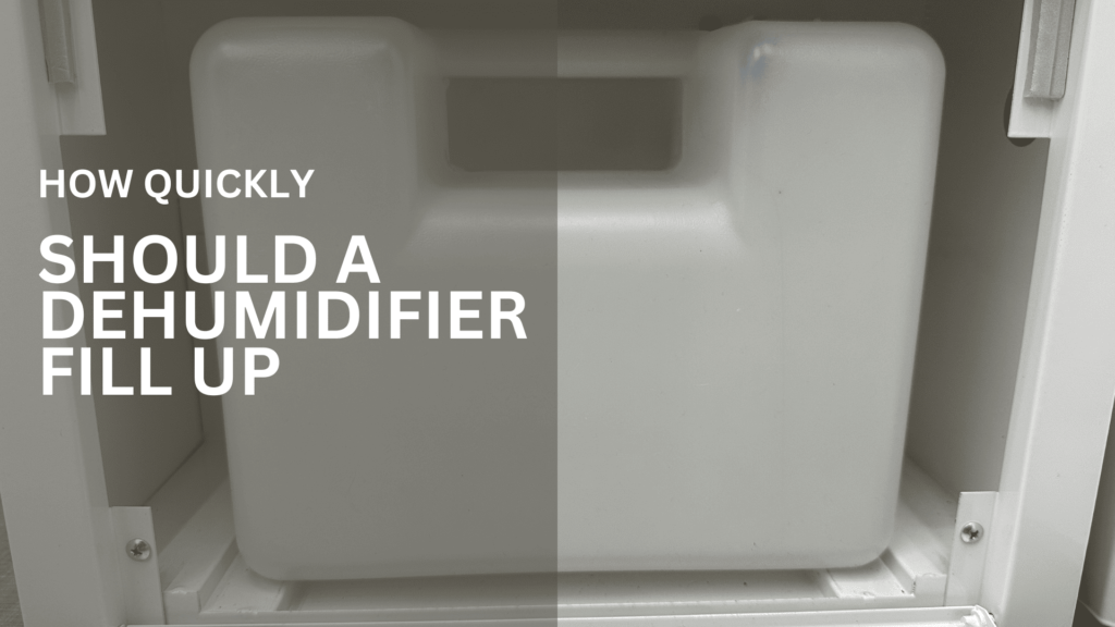 How Quickly Should a Dehumidifier Fill Up