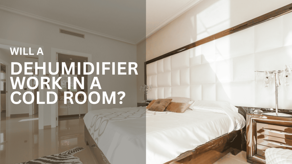 Will A Dehumidifier Work In A Cold Room