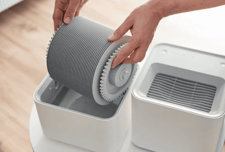 Dehumidifier Cleaning