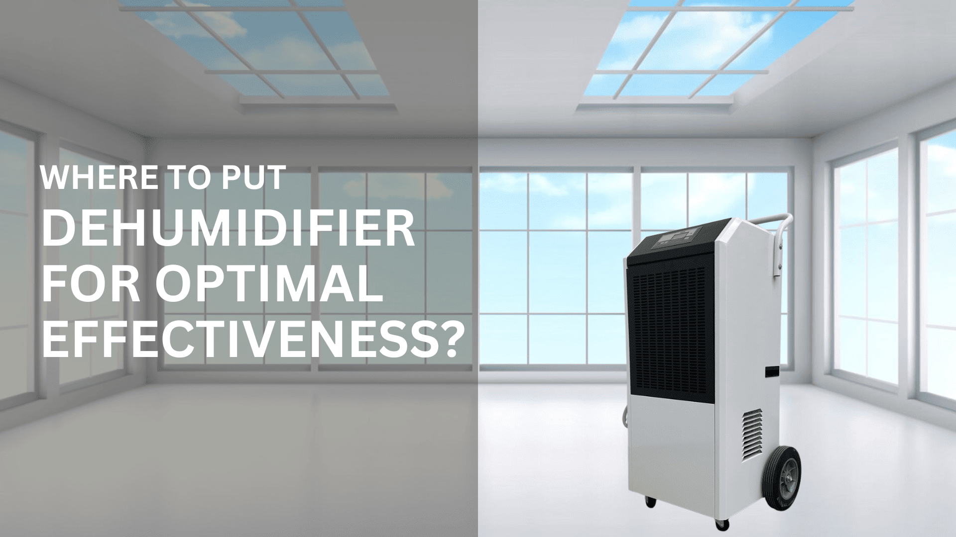 Where to Put Dehumidifier for Optimal Effectiveness