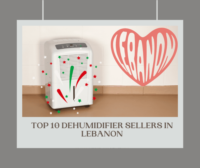 Top 10 Dehumidifier Sellers in Lebanon (1)