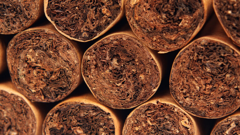 cigar