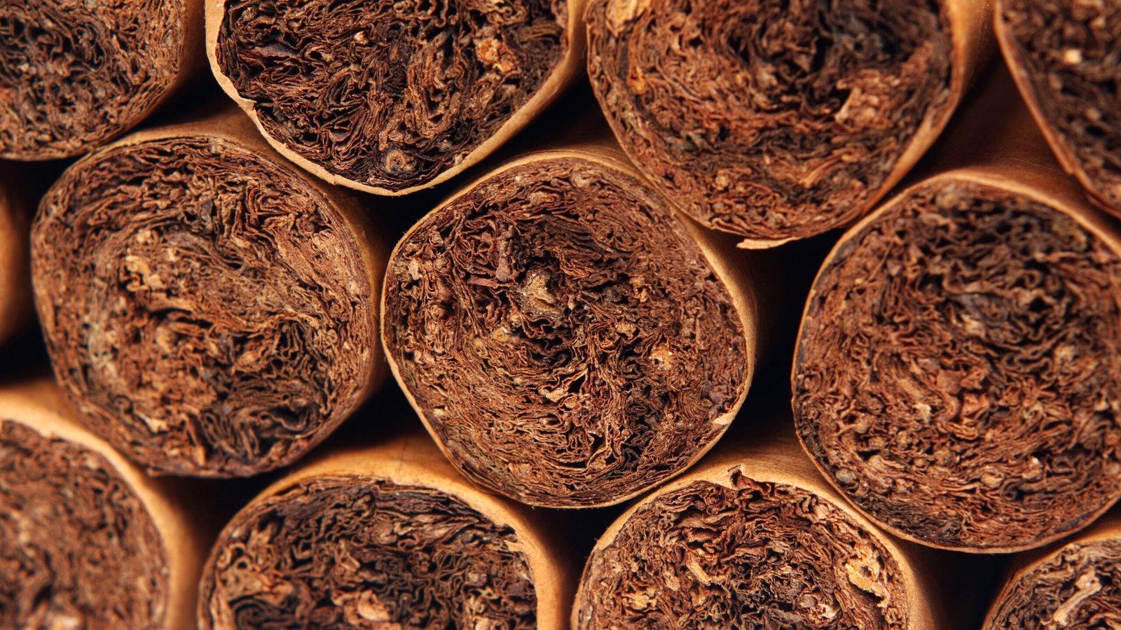 cigar